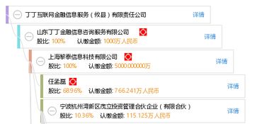 揭開丁丁互聯網金融“頭不清晰”的法律定位與登記之錯亂